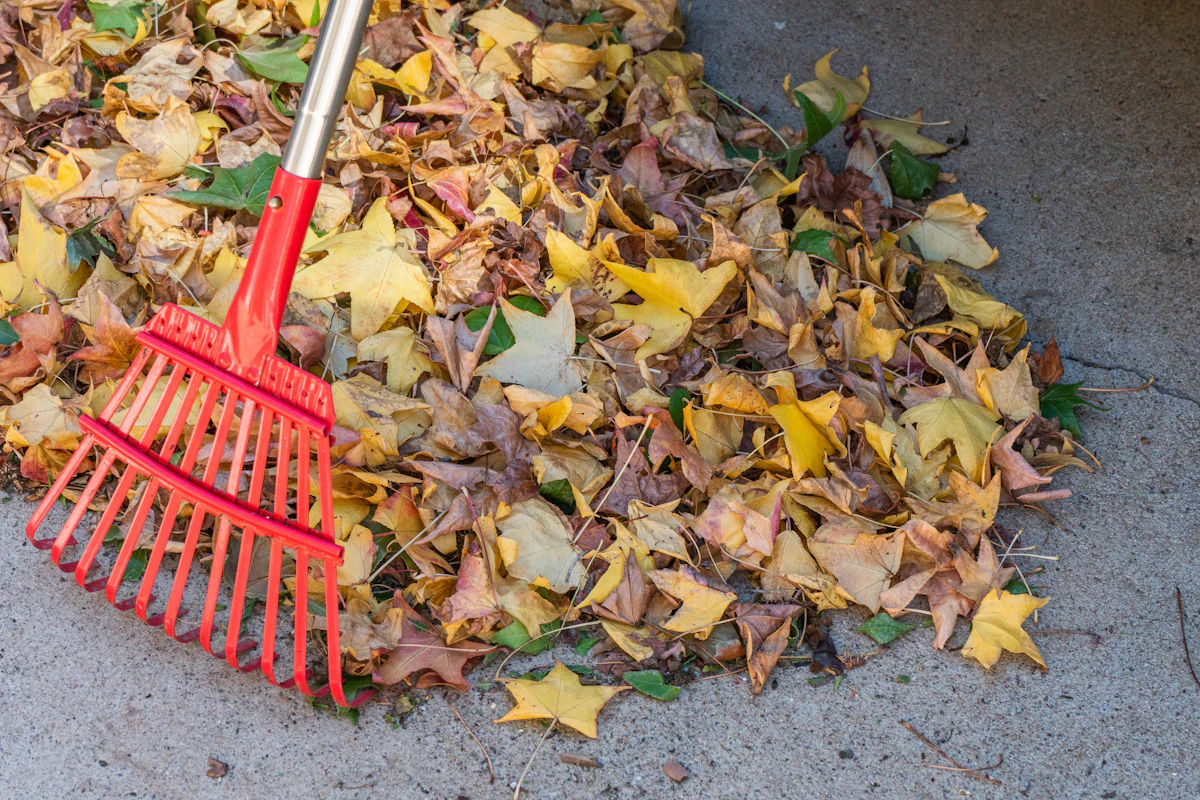 A red rake gathering fallen leaves during a yard cleanup
