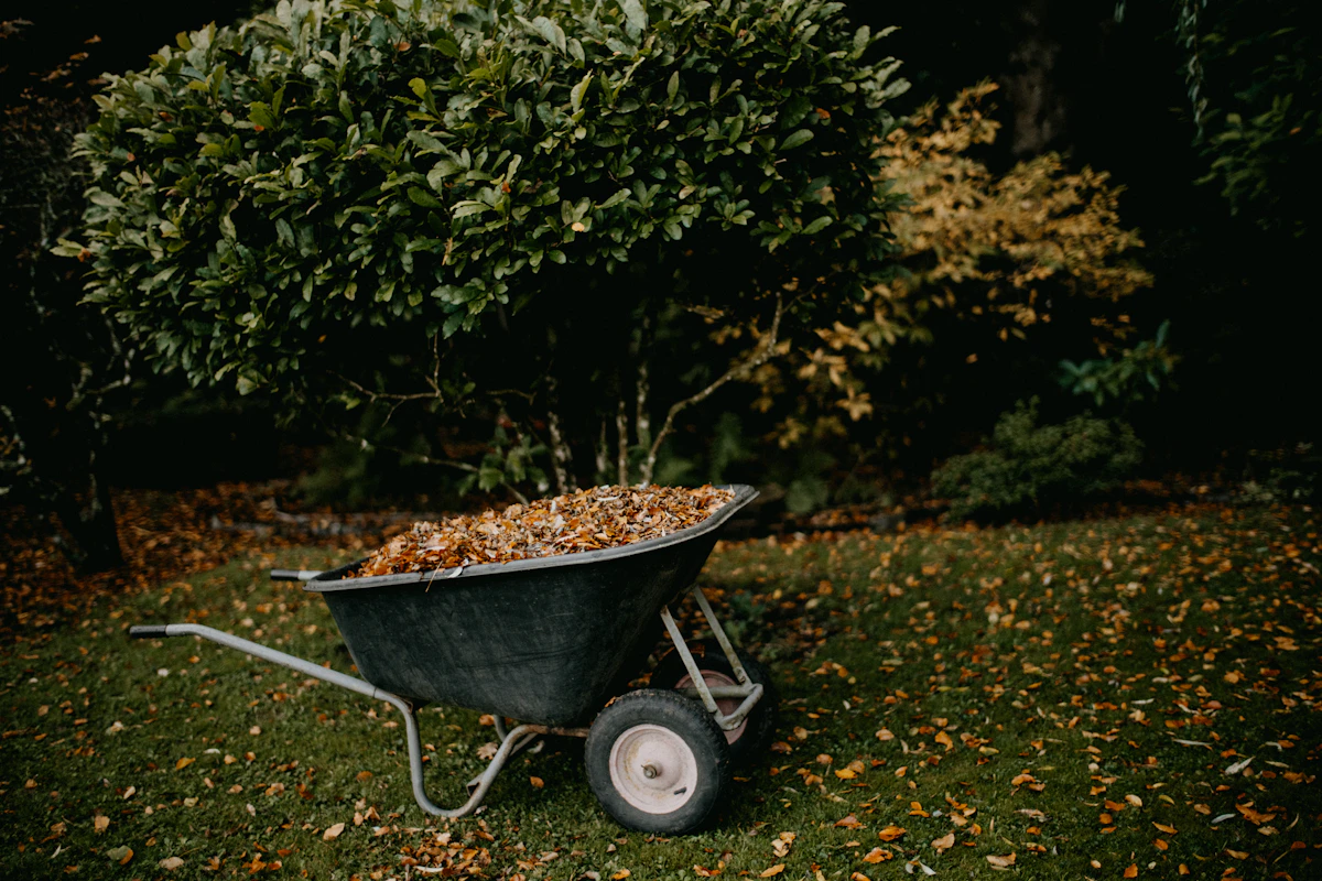 A wheelbarrow full of leaves and yard debris